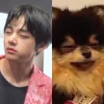 <b>김연탄</b> 아부지