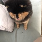<b>연탄</b>아 침 닦아