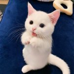[NCT] ㅅㄷ 다들 덕메 있어?