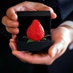 [방탄소년단] 애들 <b>딸기</b>농장에서 나눈 깊은 대화들