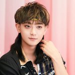 타둘기(황쯔<b>타오</b>) 근황