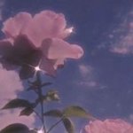 [19] 왜 나는