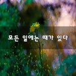 [꼭봐주세요] 모든 일에는 때가 있다~