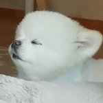 [뷰티톡] 나 <b>아이돌st</b> 로 화장해봄