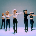 [레드벨벳] 레드벨벳 <b>아이린</b>&amp;슬기 '놀이' 안무 움짤