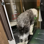 [EXO] 종인이 운동중인듯?