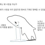 [MBTI] <b>enfp</b>들아 들어와보셈