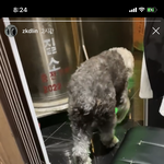 [EXO] ㅋㅋㅋㅋㅋ김종인 웰케 <b>애절</b>해ㅋㅋㅋㅋㅋ