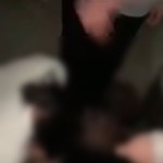 [19] +) <b>제주도</b> 학폭 봤어????