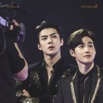 세훈 얼굴 미쳤네
