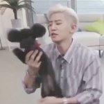 <b>엑소네</b> 강아지 특징