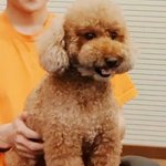 얘들아 <b>리슨</b> 재가입 안 됨?