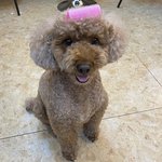 [꼭조언부탁] 피부 좋아지는법좀 알려주세요ㅜㅠ