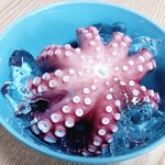 [자취요리] 28살 공장 직장인의 소박한 밥상 20