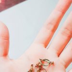 나 혀로 체리꼭지 개잘<b>묶음</b>