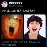 [TXT모아] 툽탐/ <b>주인님</b> 그녀석은 가짜에요!!!