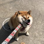 [드루와] <b>입시끝</b>나고 학교 플랜카드에 대학 적혀있으면 잘간거