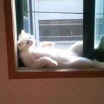 [19] hey pann <b>girls</b>~