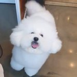 To 세훈.