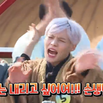 [빅톤] 세준님 리버글 썼던 타팬입니당!