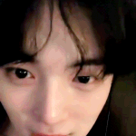 지금 팬덤 어디<b>오디</b> 있냐