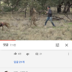 야 너네 캥거루 쳐맞고 <b>애미</b> 데려오는 영상 아냐