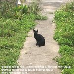 길냥이에게 자신의 집을 내어준 <b>집사</b>의 최후