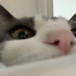 [댓글부탁해] ㅈㅅㅎ <<이  초성 유튜버 ㄴㄱ임?