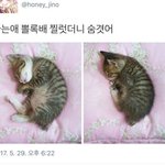 [댓글부탁해] <b>각자</b> 충격적이였던 썰 말해보자