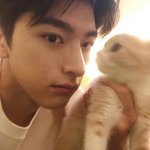 애들아 스누피 커피 효과 ㅇㄸ????