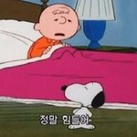 [댓글부탁해] 죽지 못해 살아도 죽기 싫어 살아도 너도 나도 똑같아