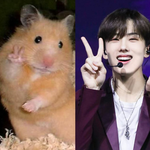 [NCT] ㅅㄷ 즈니들 굿즈 살거 <b>추천</b>좀해죠