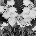 드라마에서의 죽음이 젤 믿기지 않았던 캐릭터