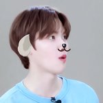 너희는 남돌 남덕이라면 당연히 게이일 것 같아?