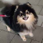 안녕하<b>새오</b>