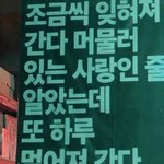 [댓글부탁해] 비율 후져서 진짜 죽고싶다