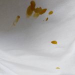 금방꺼낸 흰옷에 탕수육을 떨궜을 때의 심정을 <b>서술</b>하시오.