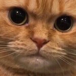 너네 이런 거 소름끼치냐