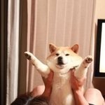 내가 보려고 써놓는 예비고3 공부계획