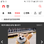아니 갑자기 <b>웰시</b>코기 나와서 놀랬네;