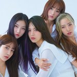 [모두드루와] 새로 데뷔한 여돌인데 여러 얼굴이 보여