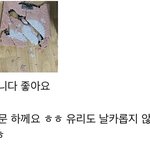 [댓글부탁해] <b>쿠팡</b> 후기 초긍정자