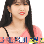 여자친구 신비가 소원에게 바치는 8<b>행시</b>