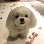 [드루와] 뜬금없는데 내가 판에 올린 글 <b>톡선</b> 갔었거든?