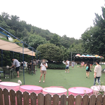 [강아지] 개터파크 다녀왔습니다!