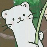 인스타 <b>정유정</b>님 마스카라 뭔지 아는사람