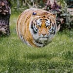 [드루와] <b>무쌍</b> 졸업사진 꿀팁