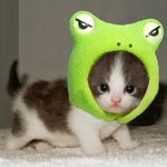 [드루와] 야 뭔가 확실히 좀 외국애랑 영상<b>통화</b> 할 때