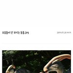 [<b>19</b>] 남사친한테 고백받은 <b>썰</b>