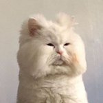 이거 <b>강호동</b>이라는거